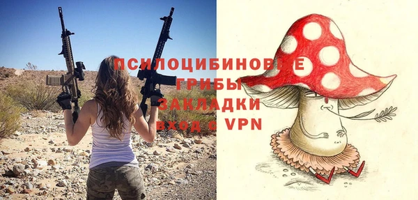 МДМА Алексеевка
