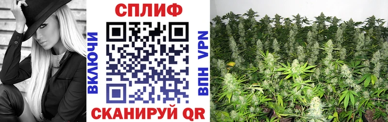 МАРИХУАНА индика  Трубчевск 